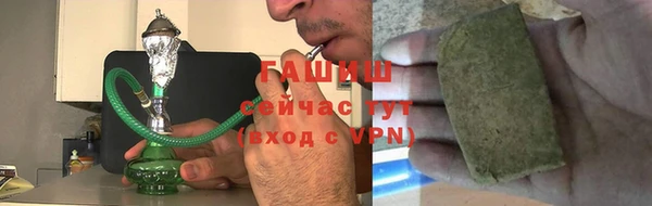 прущие грибы Алзамай