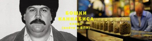 прущие грибы Алзамай