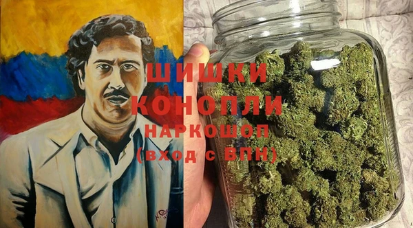 прущие грибы Алзамай