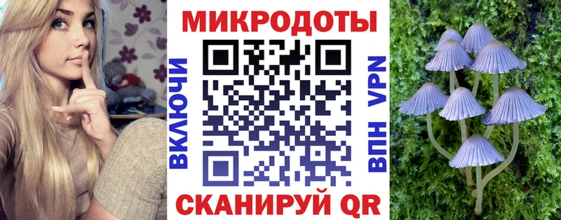 Галлюциногенные грибы Psilocybine cubensis  цены   Егорьевск 