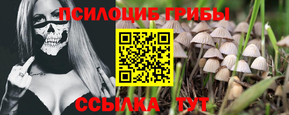 Галлюциногенные грибы Cubensis  Вход с VPN  Егорьевск  Псилоцибиновые грибы Psilocybine cubensis 